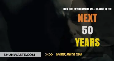 Future Earth: Predicting Environmental Shifts Over the Next Five Decades