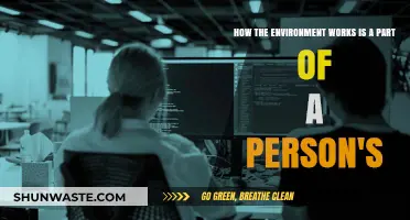 Understanding Environmental Influence on Personal Identity and Daily Life
