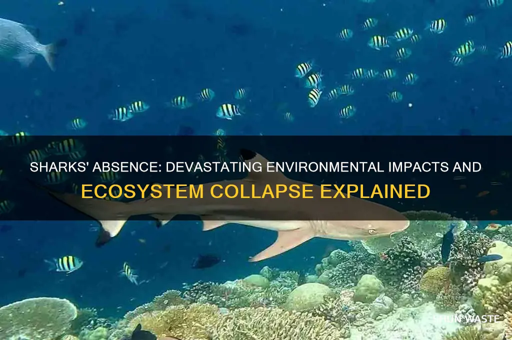 how the environment would change without sharks