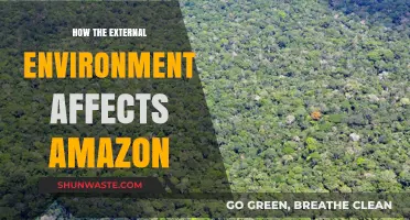 How External Factors Shape Amazon's Business and Strategy