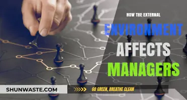 Navigating External Forces: How Environment Shapes Managerial Decision-Making