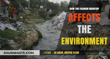 Fashion's Environmental Impact: Unraveling the Industry's Ecological Footprint