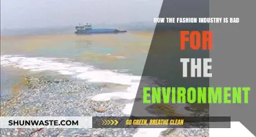 Fashion's Dark Side: Environmental Impact of the Industry