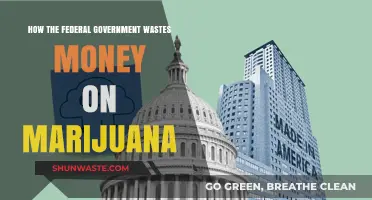 Federal Funds Flushed: The Costly Marijuana Mismanagement Crisis