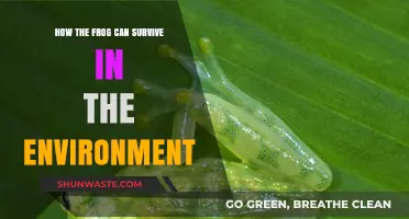 Frog Survival Secrets: Adapting to Diverse Environments and Thriving