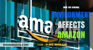 How External Factors Shape Amazon's Business and Strategy