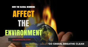 Global Warming's Devastating Impact on Our Environment: A Critical Analysis