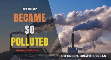 GOP's Downward Spiral: Pollution and Decay
