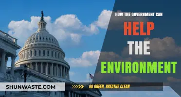 Sustainable Policies: How Governments Can Lead Environmental Conservation Efforts