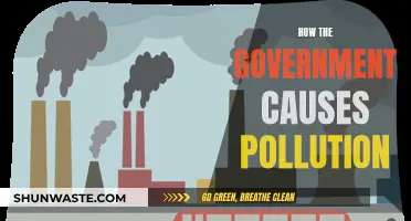 Unveiling the Hidden Sources: How Government Policies Fuel Pollution