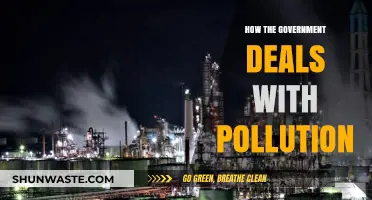 Government Strategies to Combat Pollution