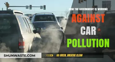 Government Strategies to Combat Car Pollution