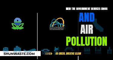 Government Strategies to Reduce Smog and Air Pollution
