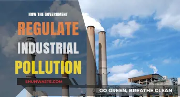 Industrial Pollution: Government Regulation and Control