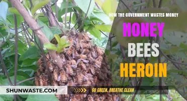 Taxpayer Funds Misspent: Bees, Heroin, and Government Waste Exposed