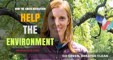 Green Revolution's Impact: Transforming Agriculture for a Sustainable Environment