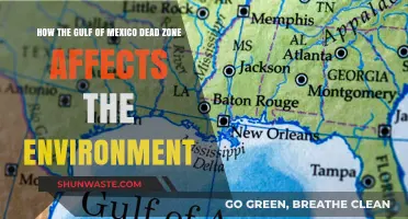 Gulf of Mexico Dead Zone: Environmental Impacts and Ecosystem Threats
