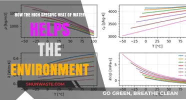 Water's High Specific Heat: A Key Environmental Stabilizer