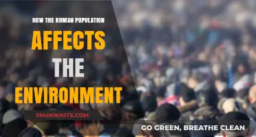 Human Population Growth: Environmental Impacts and Sustainable Solutions