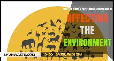 Human Population Surge: Environmental Impacts and Urgent Sustainability Challenges