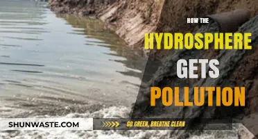 The Hydrosphere's Pollution: Sources and Human Impact