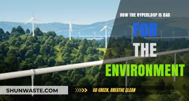 Hyperloop's Environmental Impact: Uncovering the Hidden Ecological Costs