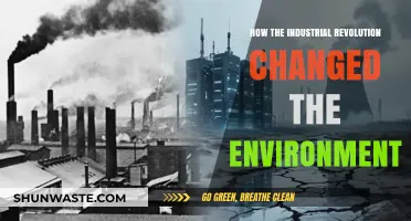 Industrial Revolution's Environmental Impact: Transforming Landscapes and Ecosystems Forever