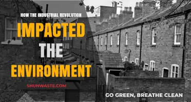 Industrial Revolution's Environmental Legacy: Pollution, Deforestation, and Climate Change