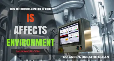 Industrial Food Production: Environmental Impacts and Sustainable Solutions