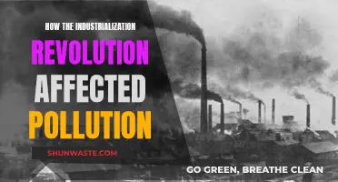 Industrial Revolution's Pollution Legacy: A Historical Perspective