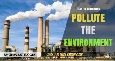 Industries' Environmental Impact: Pollution and its Consequences