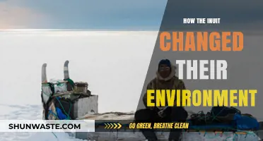 Inuit Innovations: Transforming Arctic Landscapes Through Adaptation and Resilience