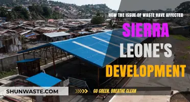 Sierra Leone's Waste Crisis: Hindering Progress and Sustainable Development