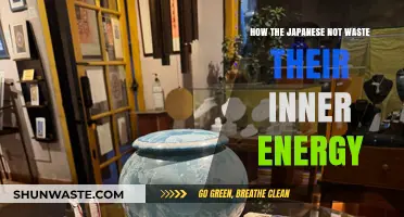 Japan's Secret: Preserving Inner Energy Through Mindful Daily Practices