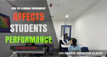 How Learning Environments Shape Student Performance and Academic Success