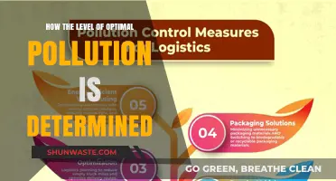Optimal Pollution: Determining the Safe Level for Environment and Health