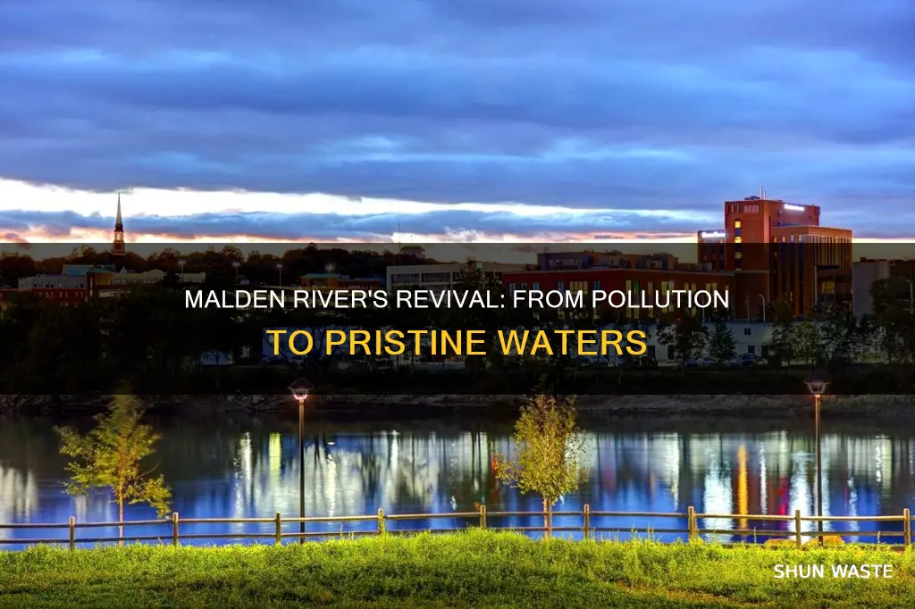 how the malden river can rise from a polluted past