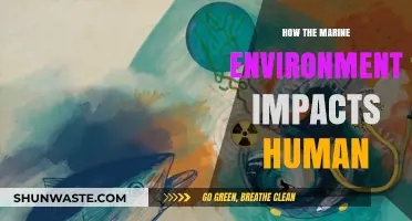 Ocean's Embrace: How Marine Ecosystems Shape Human Life and Health