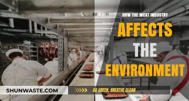 Meat Industry's Environmental Impact: Climate, Land, and Water Concerns