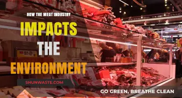 Meat Industry's Environmental Impact: Uncovering the Hidden Costs of Production