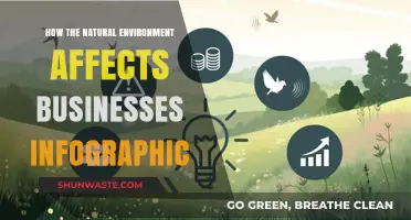 Nature's Impact: How the Environment Shapes Business Operations Infographic