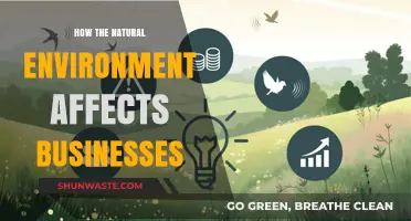 Nature's Impact: How the Environment Shapes Business Operations and Strategies