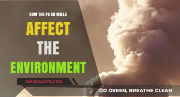 Paper Mills' Environmental Impact: Pollution, Deforestation, and Sustainability Challenges