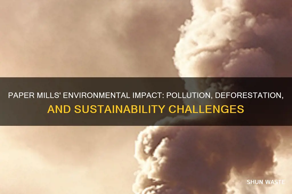 how the pa er mills affect the environment