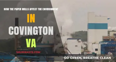 Paper Mills' Environmental Impact on Covington, VA: A Deep Dive