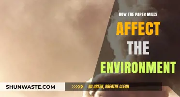 Paper Mills' Environmental Impact: Pollution, Deforestation, and Sustainability Challenges