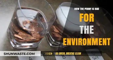 The Hidden Environmental Cost of Keeping the Penny in Circulation