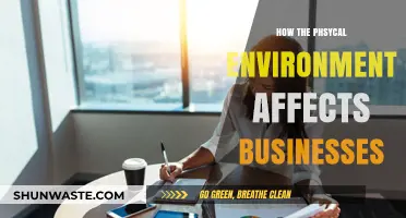 How Physical Environments Shape Business Success and Productivity