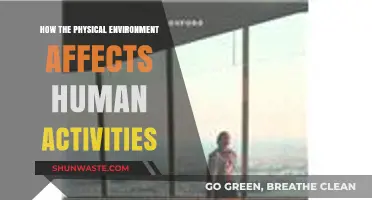 Shaping Our Actions: The Impact of Physical Surroundings on Human Behavior