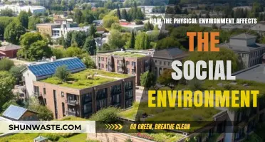 Spaces Shape Societies: Exploring Physical and Social Environment Connections